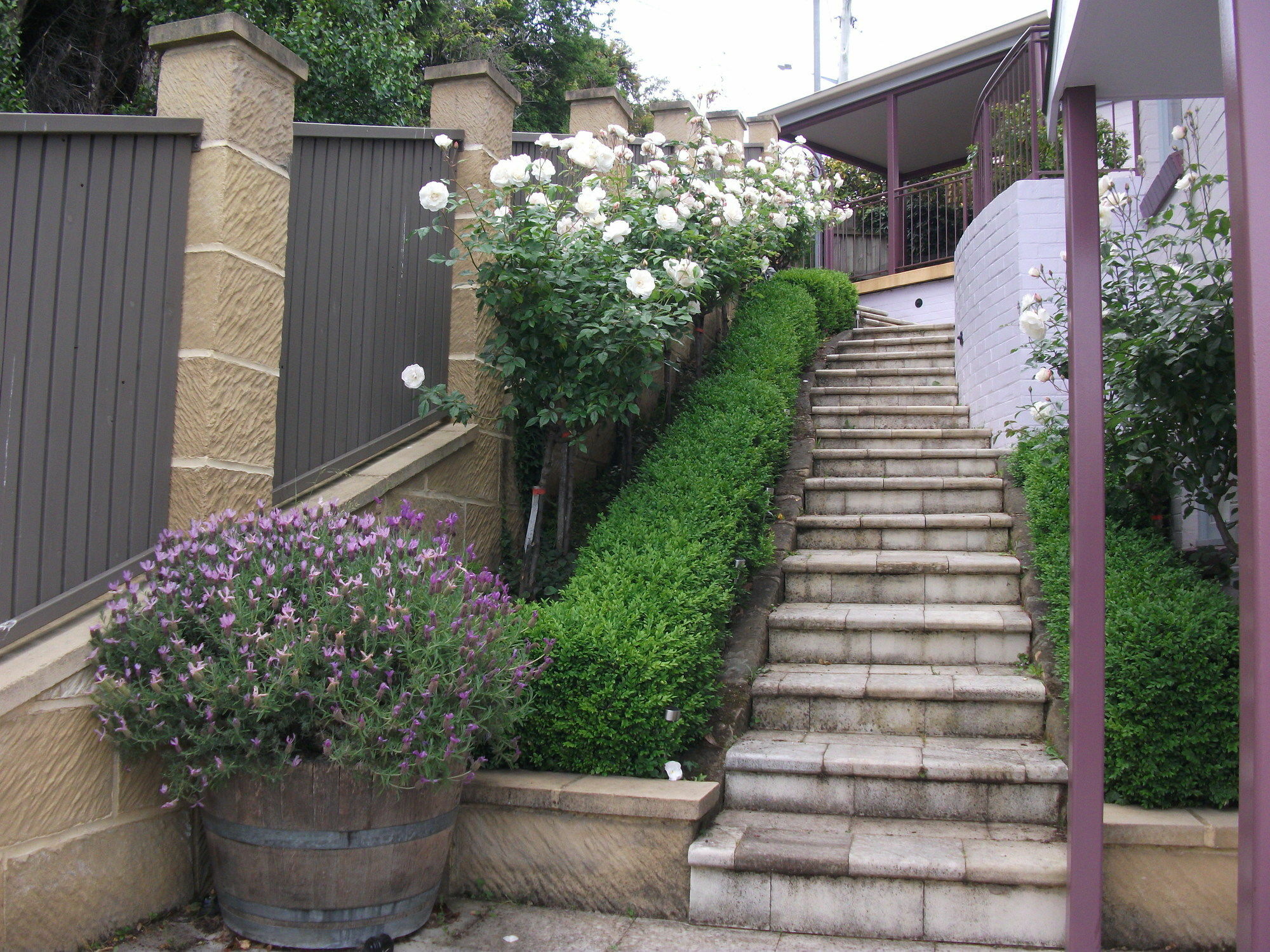 Apartments On Star Sandy Bay Exterior photo